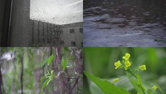 下雨天户外美景高清在线视频素材下载