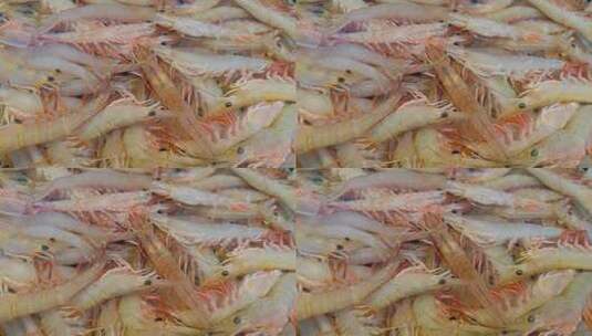 福建厦门第八市场海鲜市场售卖的海虾高清在线视频素材下载