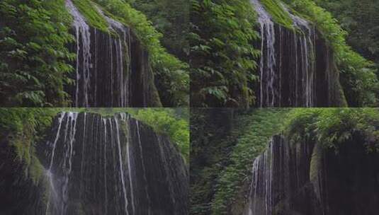 雨季潮湿森林里水流小瀑布高清在线视频素材下载
