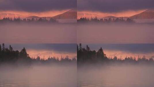 云雾缭绕的森林清晨晨雾雾气高清在线视频素材下载