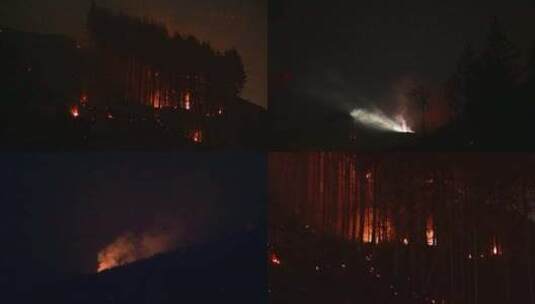夜间森林着火延时摄影高清在线视频素材下载