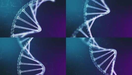 医疗技术人类基因 Dna螺旋视频4K高清在线视频素材下载
