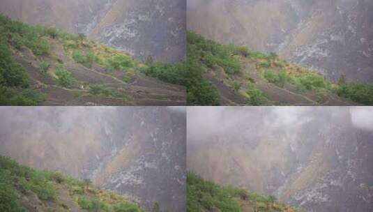 虎跳峡香格里拉高山雪山徒步旅行高清在线视频素材下载