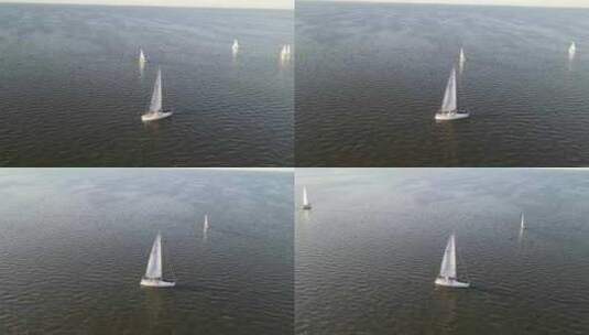 帆船在水上航行高清在线视频素材下载
