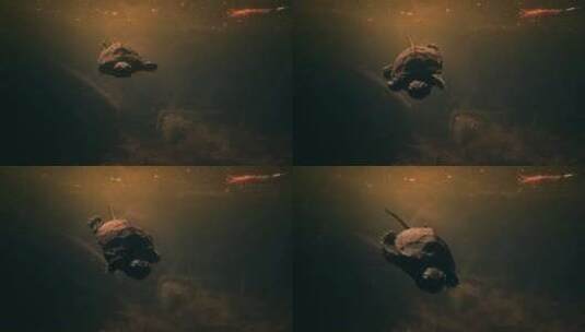 水里小乌龟高清在线视频素材下载
