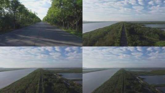 天津团泊湖环湖路段生态堤坝航拍高清在线视频素材下载