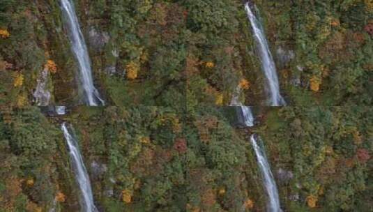 高清实拍眉山洪雅瓦屋山森林瀑布高清在线视频素材下载