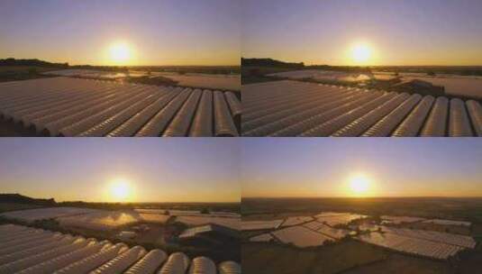 航拍清晨阳光照在农村成片蔬菜大棚种植基地高清在线视频素材下载