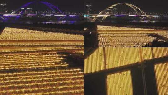 广州南沙凤凰三桥火龙果林夜景航拍4K视频高清在线视频素材下载