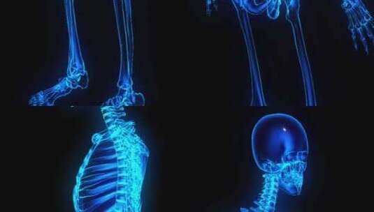 3D旋转人体骨骼特写镜头全息投影高清在线视频素材下载