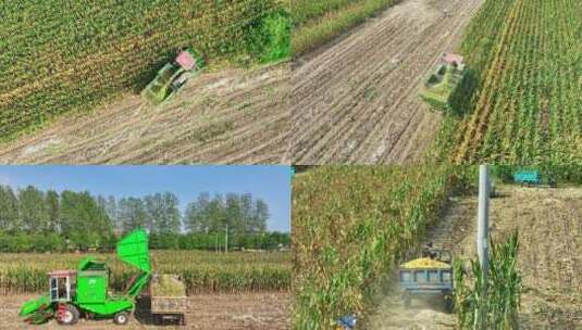玉米收割秋收高清在线视频素材下载