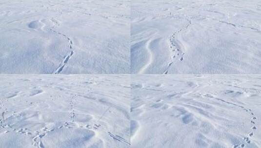 雪地里的动物足迹雪地里的脚印高清在线视频素材下载