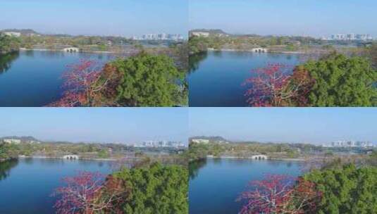 惠州西湖陈公堤航拍大景6高清在线视频素材下载