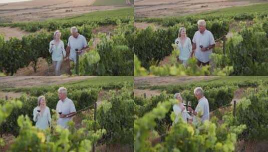 老年夫妇手牵手散步，喝着红酒，庆祝他们的高清在线视频素材下载