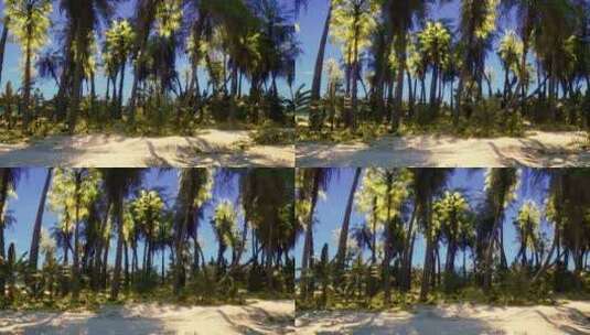 棕榈树和晴朗蓝天的热带天堂高清在线视频素材下载