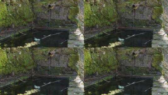 喷泉在长满苔藓的纳维亚桥下缓缓滴水高清在线视频素材下载