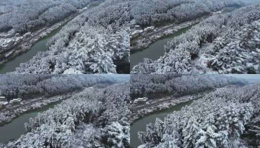 fpv穿越机航拍森林雾凇雪景溪流自然树林高清在线视频素材下载