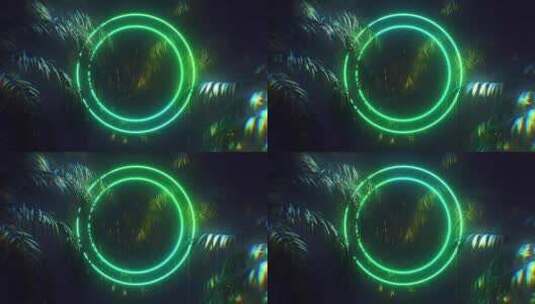 霓虹灯发光圈环绕着棕榈树环高清在线视频素材下载