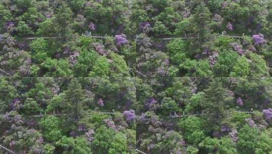 河南伏牛山山脉平顶山尧山层峦叠嶂的山峰高清在线视频素材下载