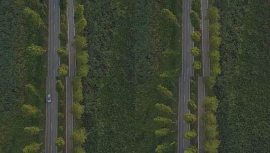 高速公路穿过森林高清在线视频素材下载