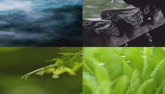 雨水节气竖屏版高清在线视频素材下载