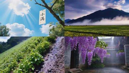 小满节气自然风光传统节日夏天高清在线视频素材下载