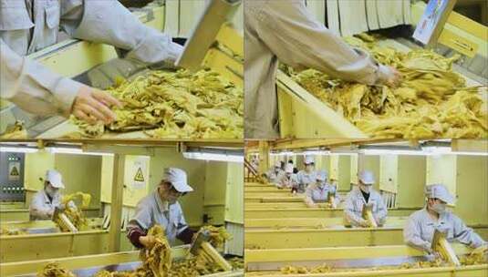 工厂工人烟草加工场景高清在线视频素材下载