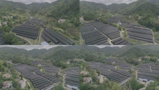 航拍-黑色蔬菜大棚高清在线视频素材下载