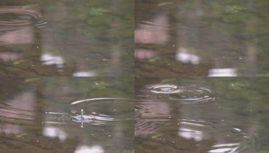 小雨，溪流水面泛起波纹【4k-60P】高清在线视频素材下载