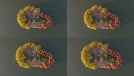 航拍秋天的小岛高清在线视频素材下载