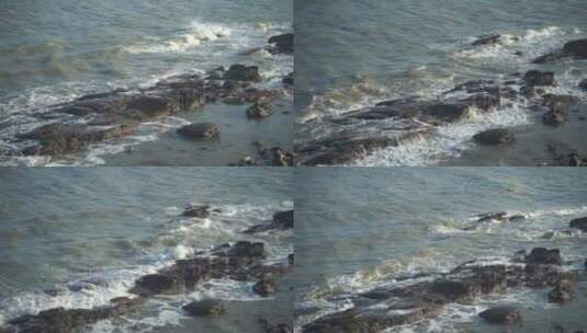 海鸥飞过礁石海边海鸟海水拍打礁石浪花海浪高清在线视频素材下载