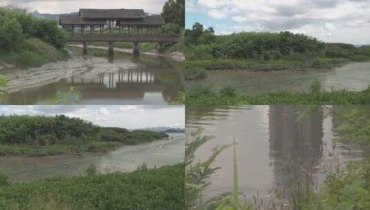 深圳福田红树林实拍视频高清在线视频素材下载