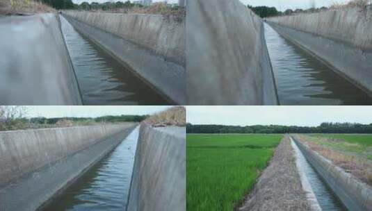 水渠 灌溉 农业 水利 新农业 调水 水稻高清在线视频素材下载