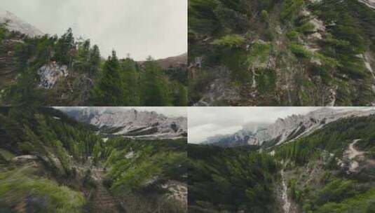 航拍拍摄树林和远处的雪山高清在线视频素材下载