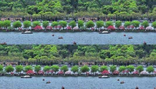 杭州西湖白堤高清在线视频素材下载