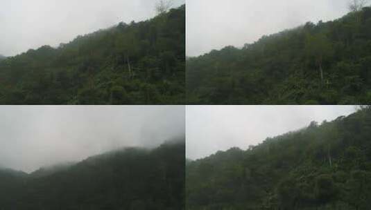 云南普洱雨林航拍4K 高清在线视频素材下载