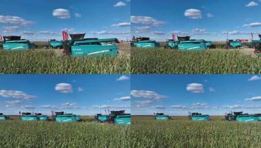 航拍北大荒玉米收割机高清在线视频素材下载