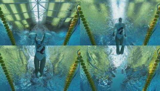 专业美女游泳运动员跳入水池蝶泳慢动作花样高清在线视频素材下载