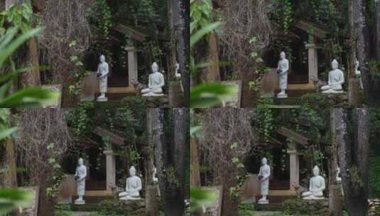 泰国清迈曼谷寺庙树林森林高山佛像高清在线视频素材下载