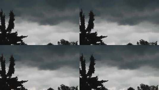 静态树枝前景拍摄阴天素材高清在线视频素材下载