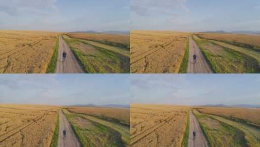 农民走在田野中的泥土路上高清在线视频素材下载