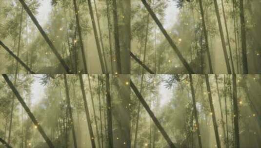 竹林中的萤火虫高清在线视频素材下载