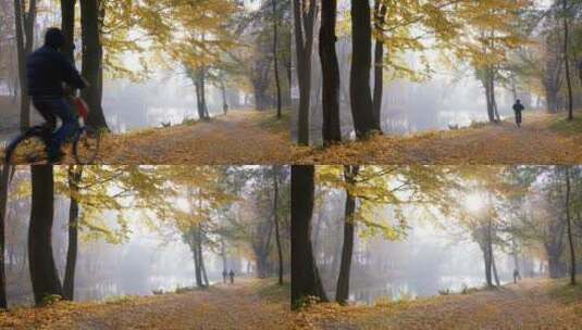 公园秋季的风景高清在线视频素材下载