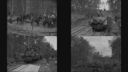 1914年美国的伐木营活动高清在线视频素材下载