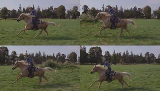 女人在草场快速的骑马高清在线视频素材下载
