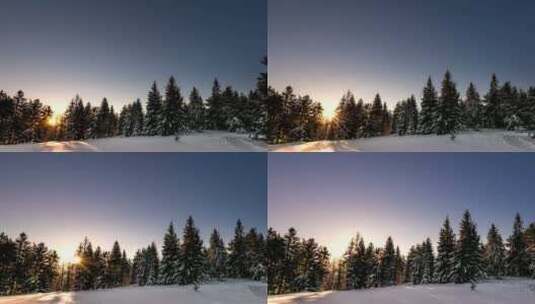 冬日森林里黎明时分的极光高清在线视频素材下载