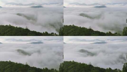 广州 延时摄影 云海 天空延时 自然景观高清在线视频素材下载