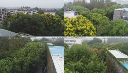 衢州市第二中学高清在线视频素材下载