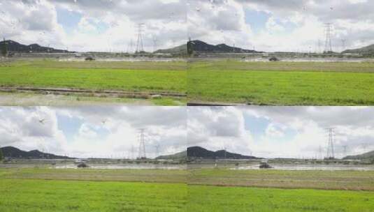 农村机器耕地海鸥鸟飞翔4K航拍60帧高清在线视频素材下载