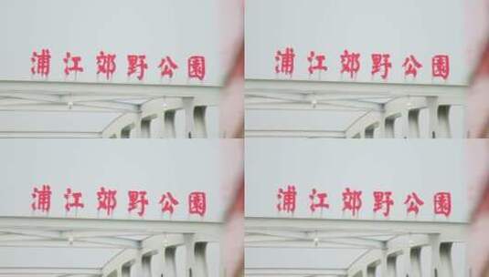 4K实拍上海浦江郊野公园高清在线视频素材下载